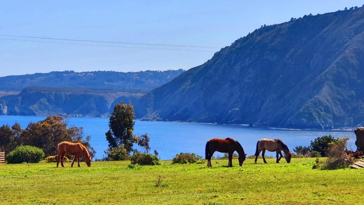 Cabana En Tunquen Con Parrilla, Fogon, Piscina Y Bosque Екстериор снимка